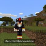 4D Skins Mod