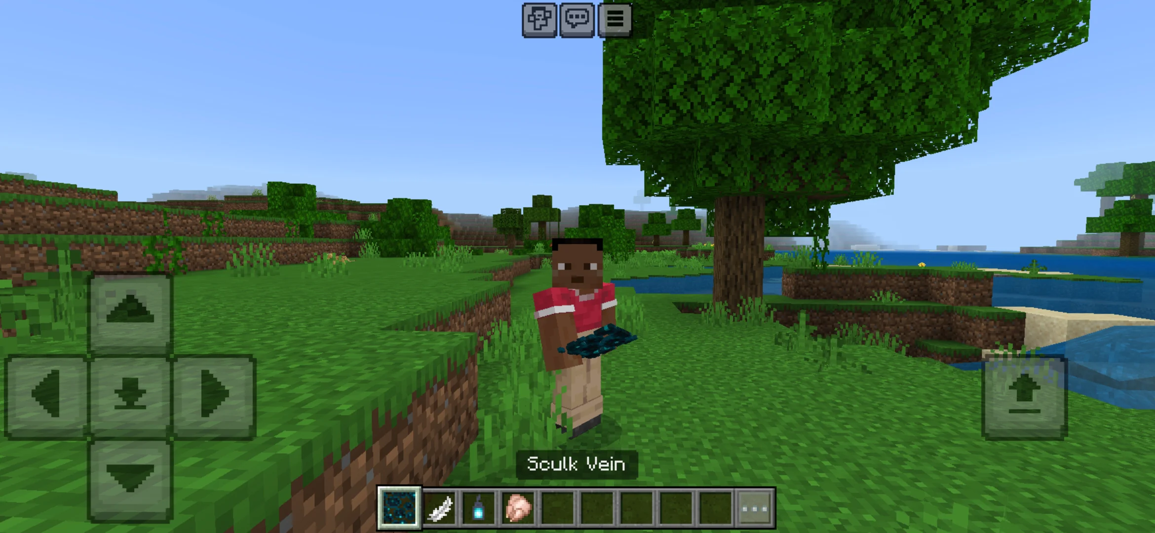 Abillities from Sculk Vein Texture Pack for Minecraft PE