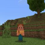 Baby Texture Pack