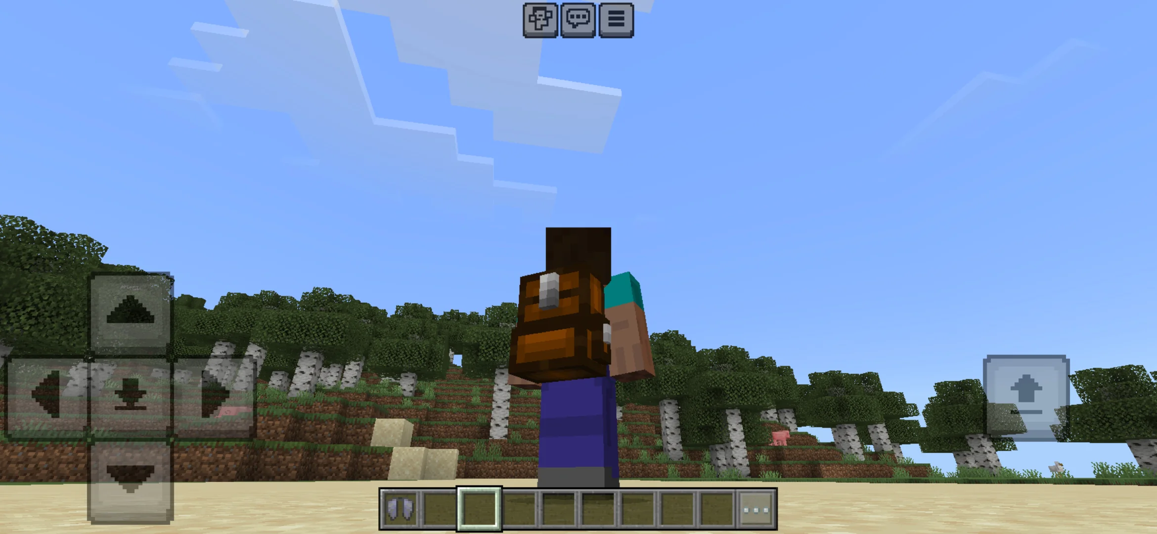 Backpack from Cakes Cosmetic Texture Pack for Minecraft PE