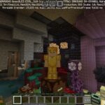 Biomes Hide and Seek Map