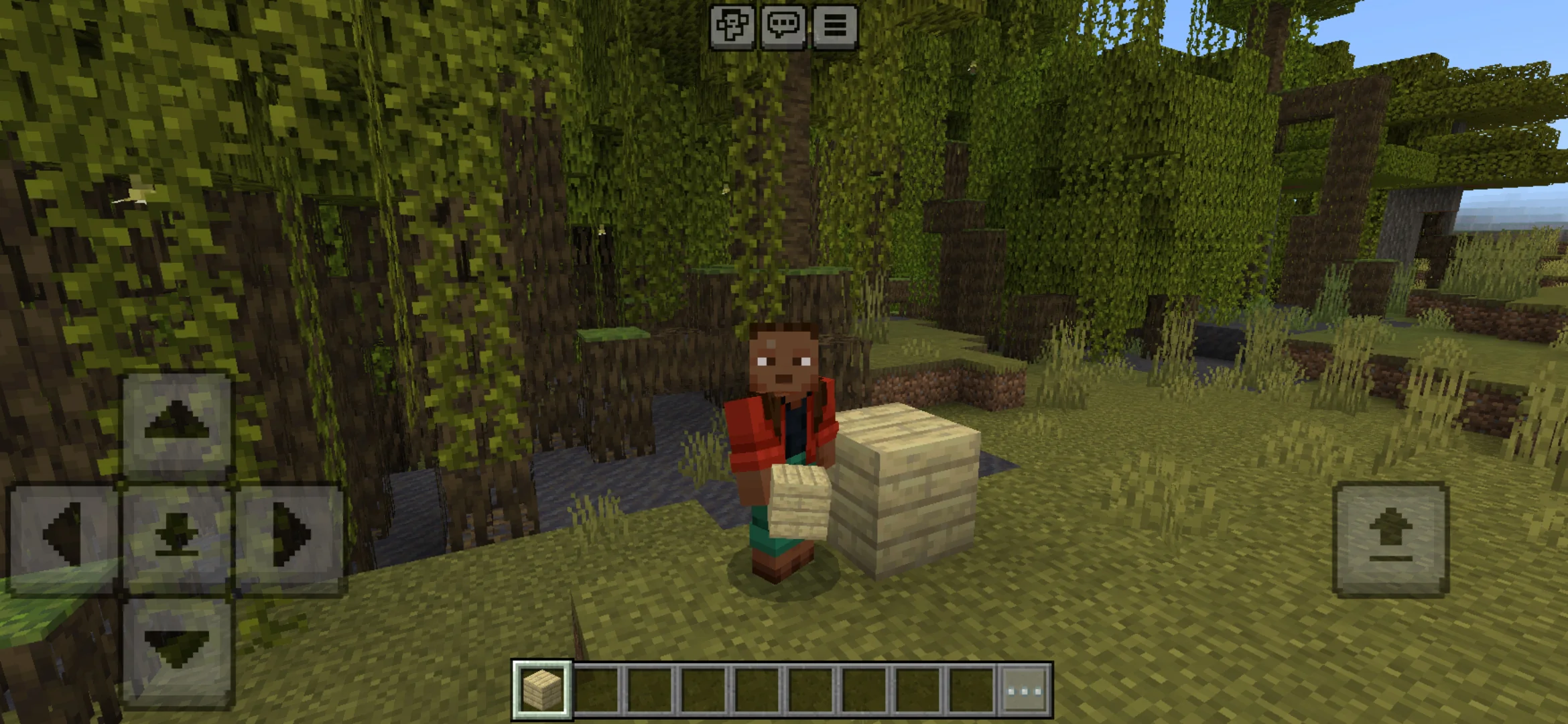 Blocks from Enhanced Tweaks Texture Pack for Minecraft PE