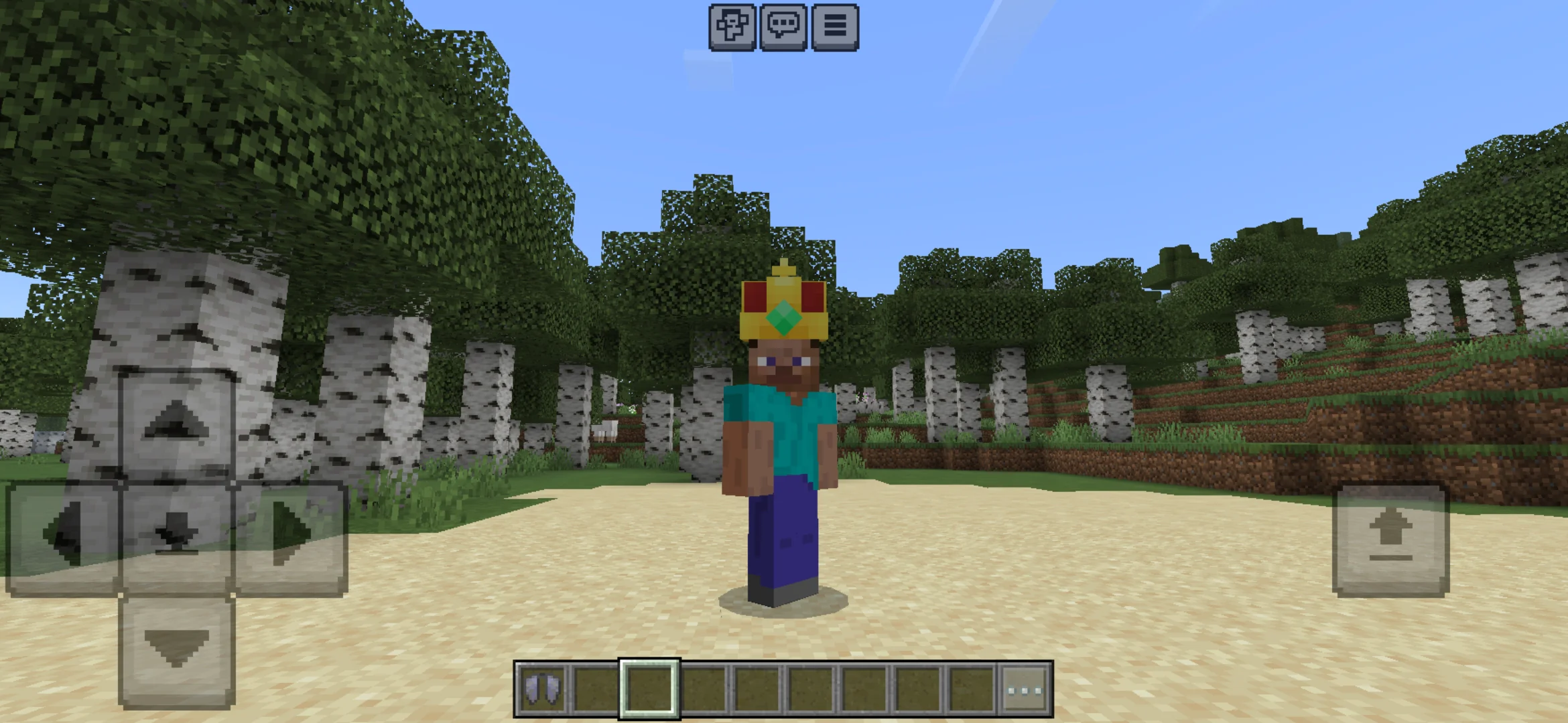 Crown from Cakes Cosmetic Texture Pack for Minecraft PE