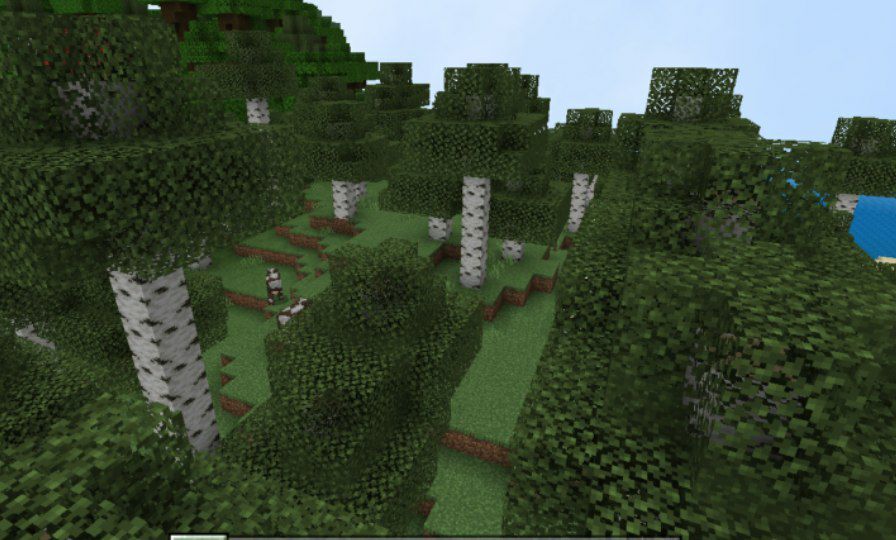 Fake Shader