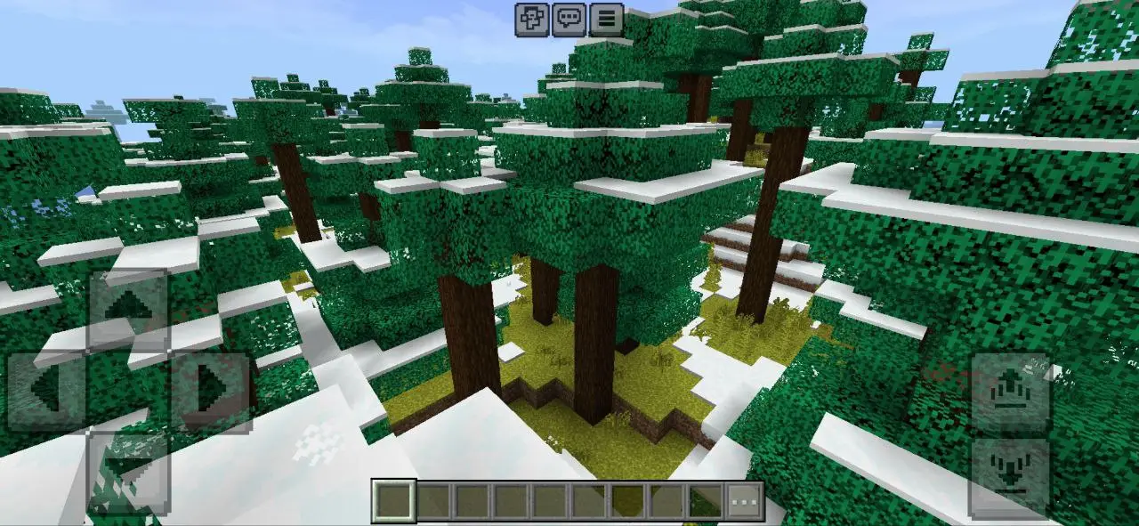 Forest from Reborn MC Shader for Minecraft PE