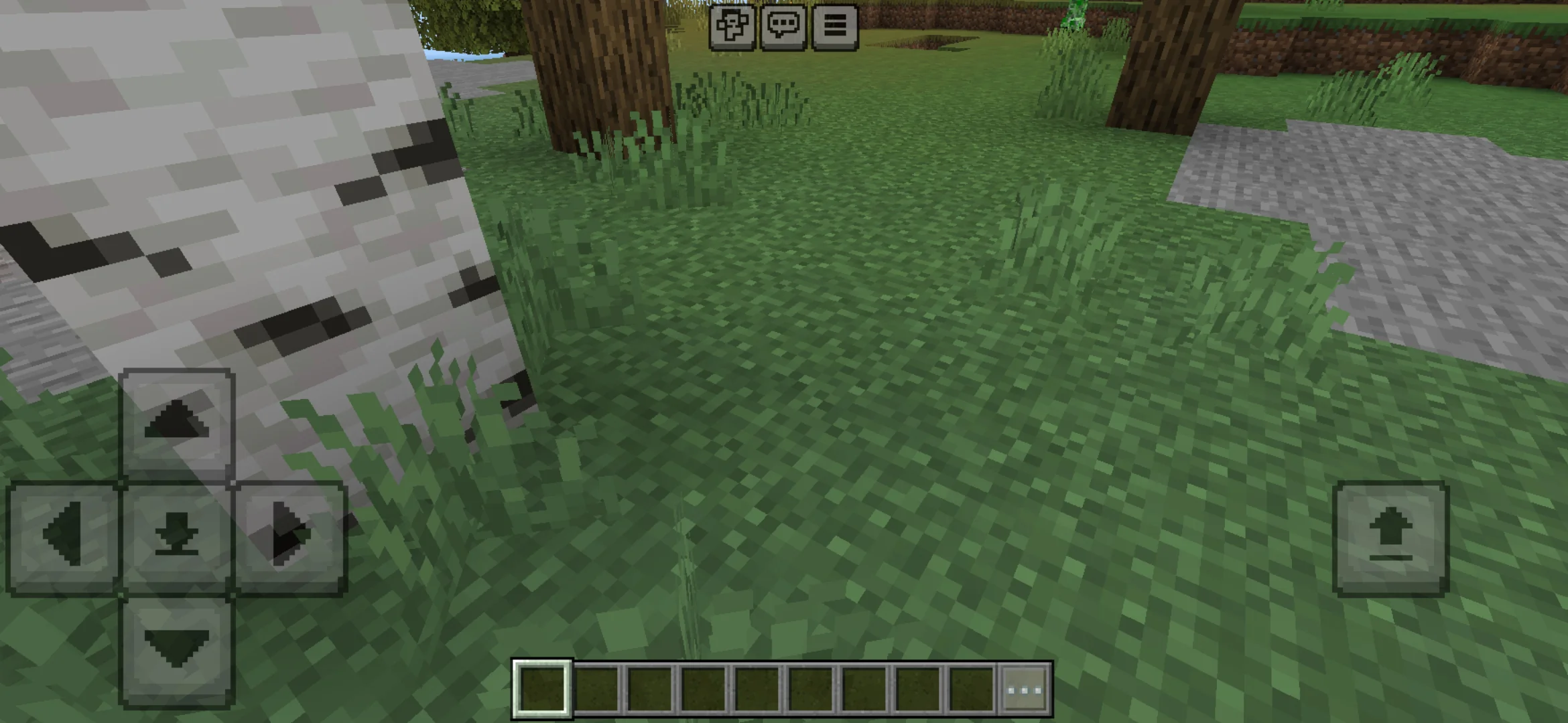 Grass from 256 x 256 Texture Pack for Minecraft PE
