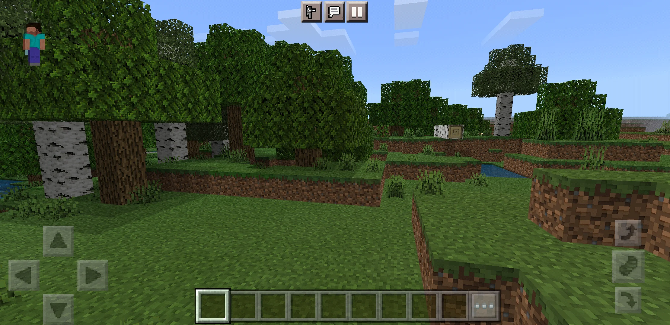 Nature from 256 x 256 Texture Pack for Minecraft PE