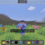 Neo Ecological Craft Mod