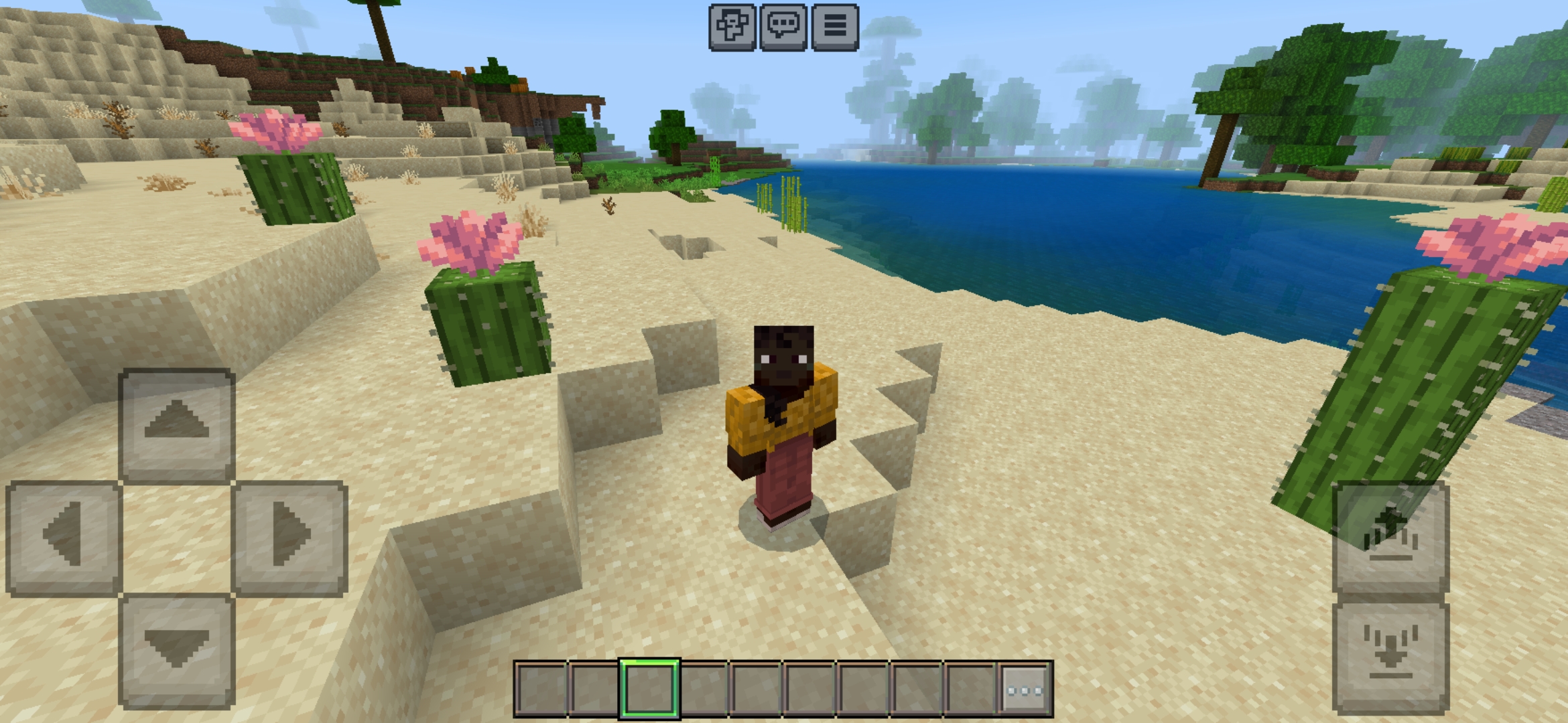 Options from Movie UI Texture Pack for Minecraft PE