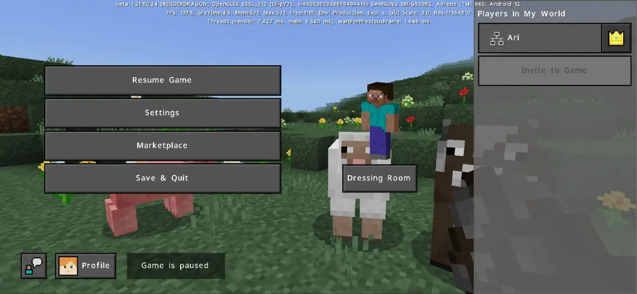 Pause from Basic Tweaks Texture Pack for Minecraft PE