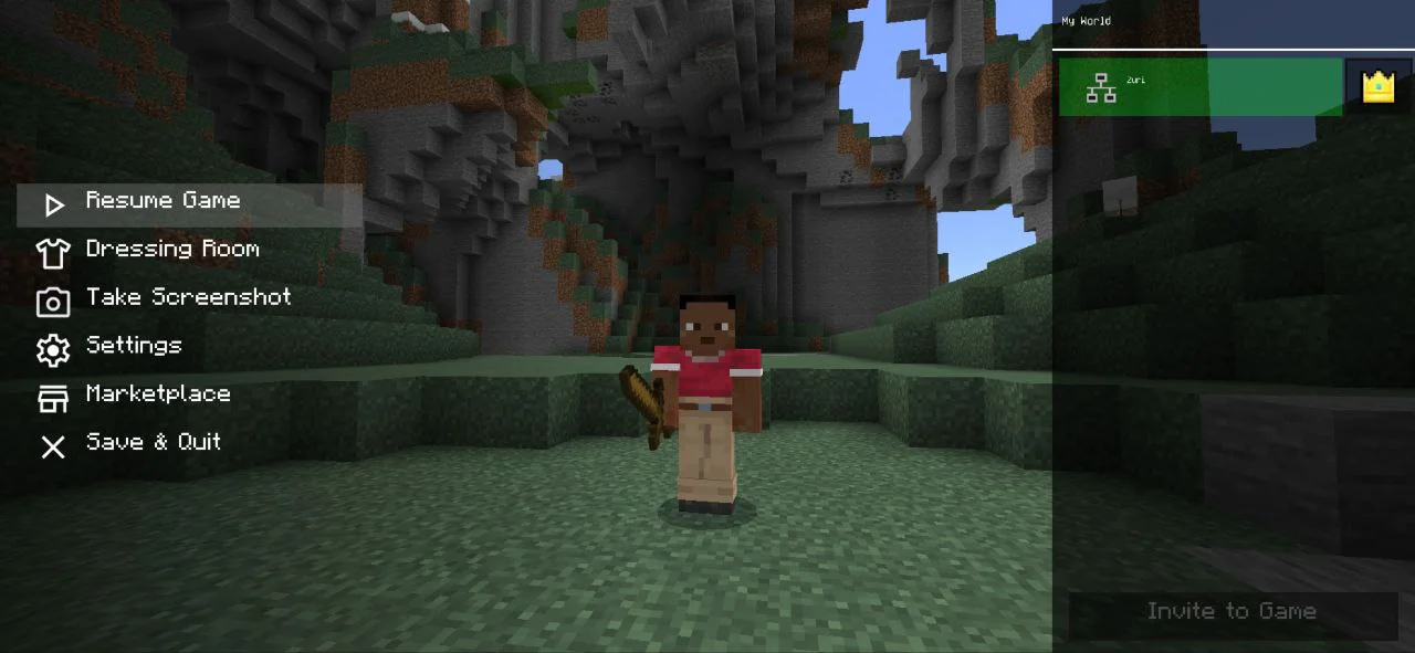Pause from Bet MC Ui Texture Pack for Minecraft PE