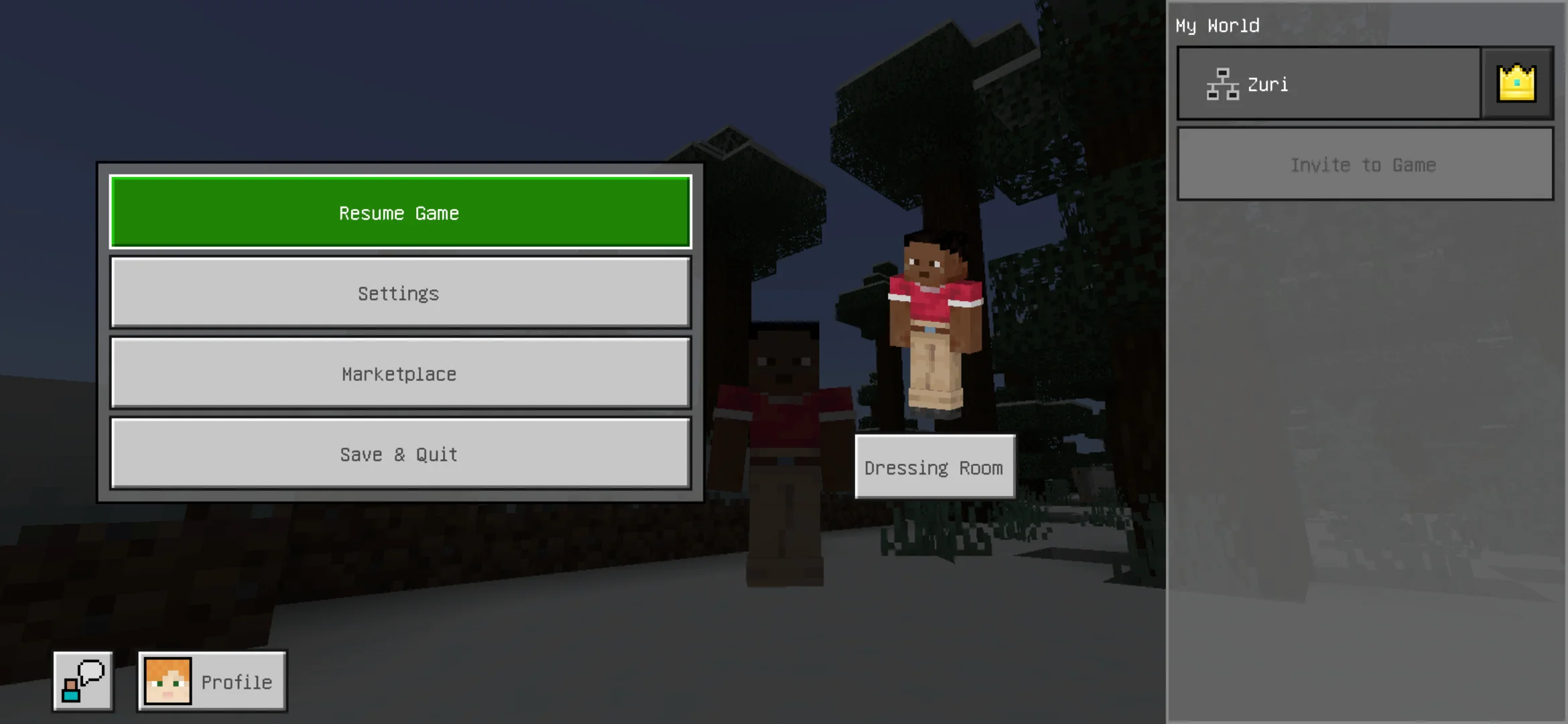 Pause from Unicode Texture Pack for Minecraft PE