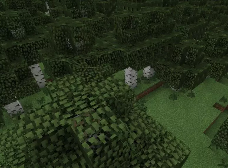 Forest from Waving Plants Shaders for Minecraft PE