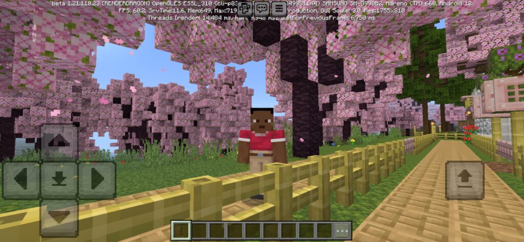 Pink House Map
