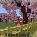 Pink House Map