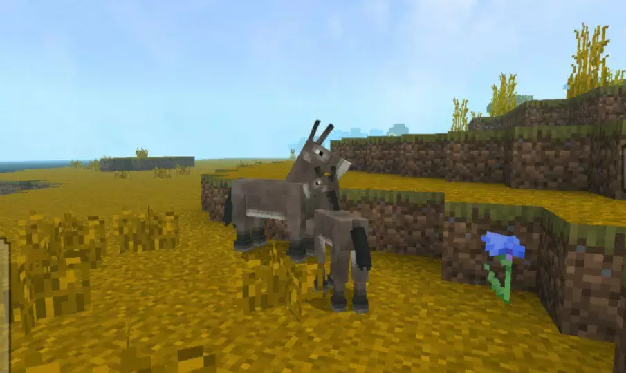 Season from Autumn Shader for Minecraft PE