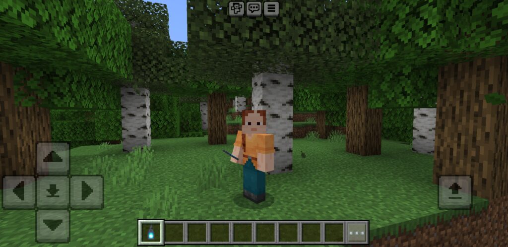 Shared Inventory Texture Pack