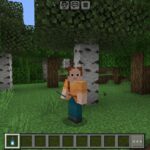 Shared Inventory Texture Pack