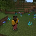 Solar Shader