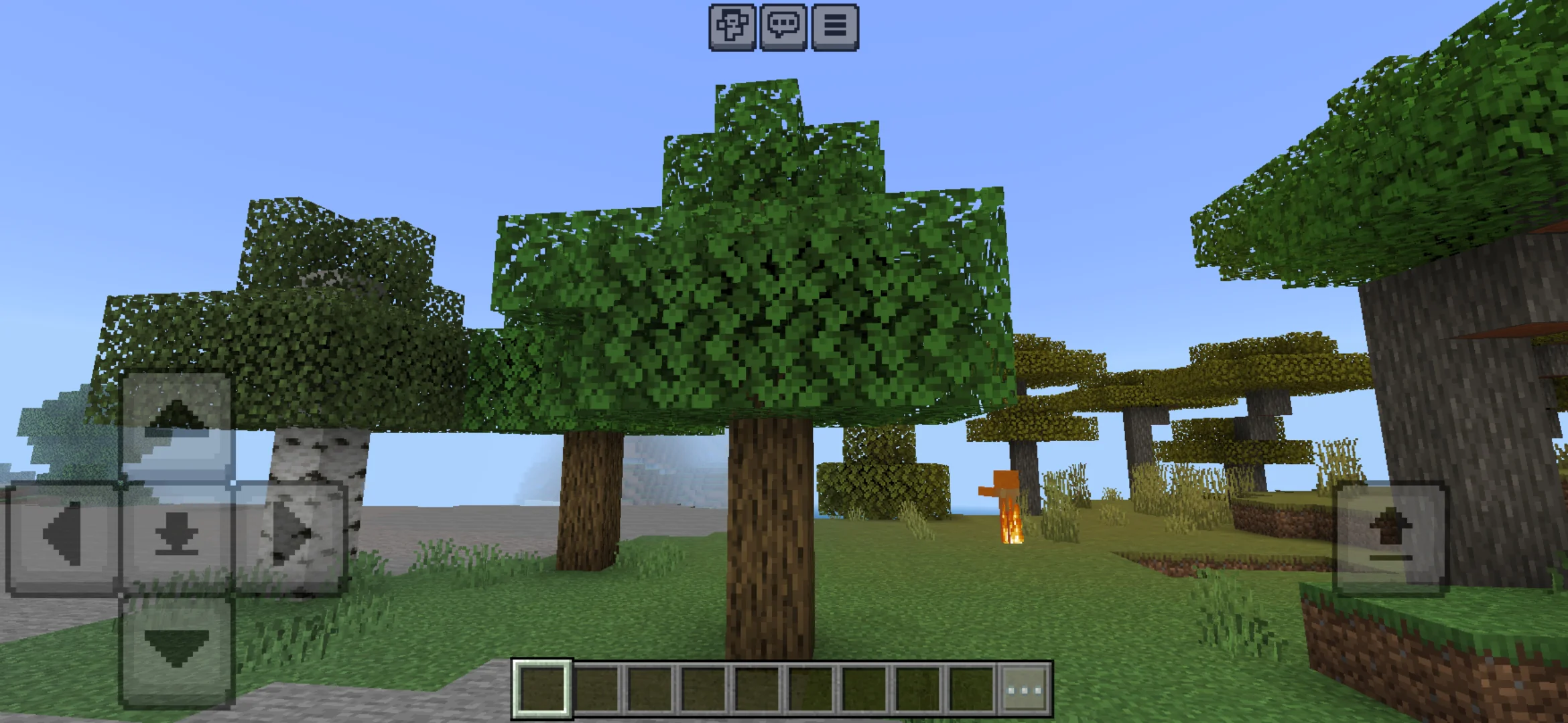 Trees from 256 x 256 Texture Pack for Minecraft PE