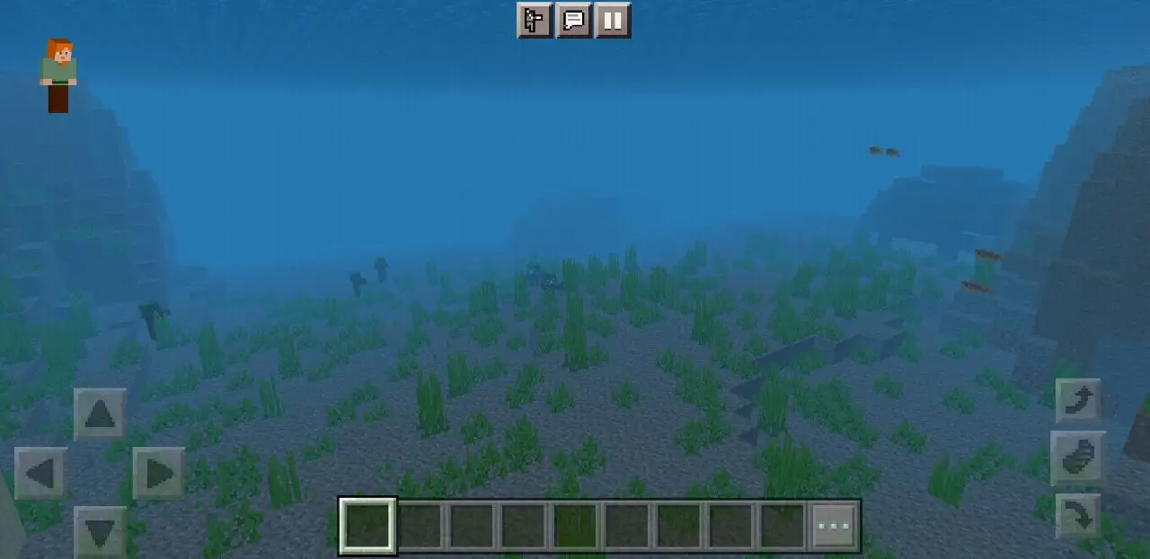 Underwater from Vanilla Normal Texture Pack for Minecraft PE