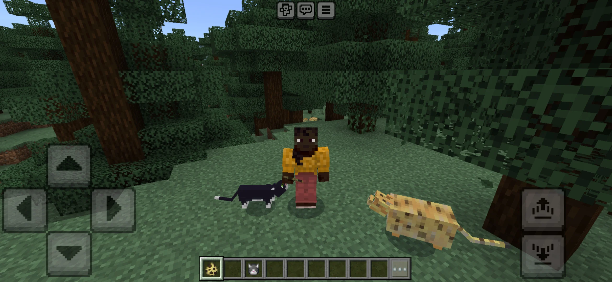 Variants fom Fat Cats Mod for Minecraft PE