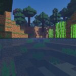 Zebra Shaders